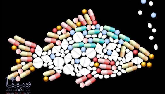 ماهی ها دارای آلودگی دارویی هستند