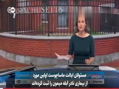 آبله میمون تا چه حد خطرناک است؟