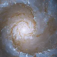کهکشانی مارپیچ که تصویری بهشتی از تولد ستارگان می سازد