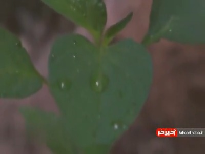 نماهنگ بی کلام و آرامش بخش مخصوص شب