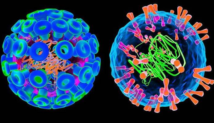 مسلح کردن ویروس تبخال برای جنگ با سرطان