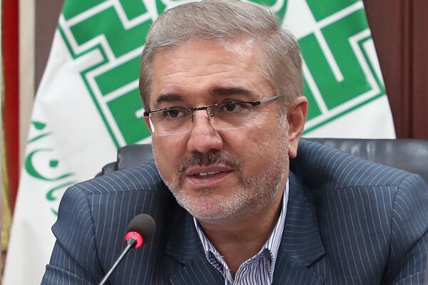 معاون وزیر اقتصاد: کشور باید با مالیات اداره شود