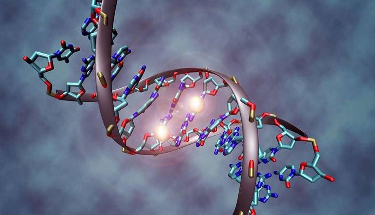 نوع جدیدی از ویرایش ژنوم برای اصلاح دقیق DNA ارائه شده است