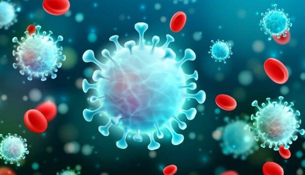 تکرار مجدد روز صفر؛ روز بدون فوتی کرونایی در کشور