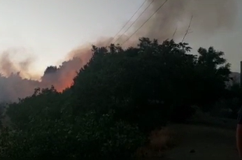 آتش‌سوزی در پارک پردیسان تهران