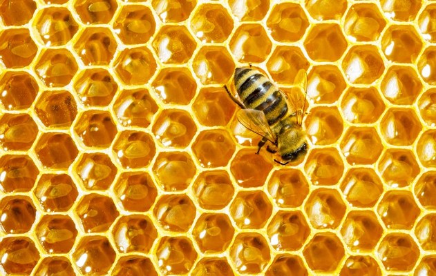 حکایت/ ظرف عسل و مگس