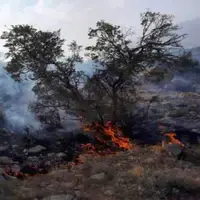 ادامه آتش‌سوزی در ارتفاعات سروستان فارس