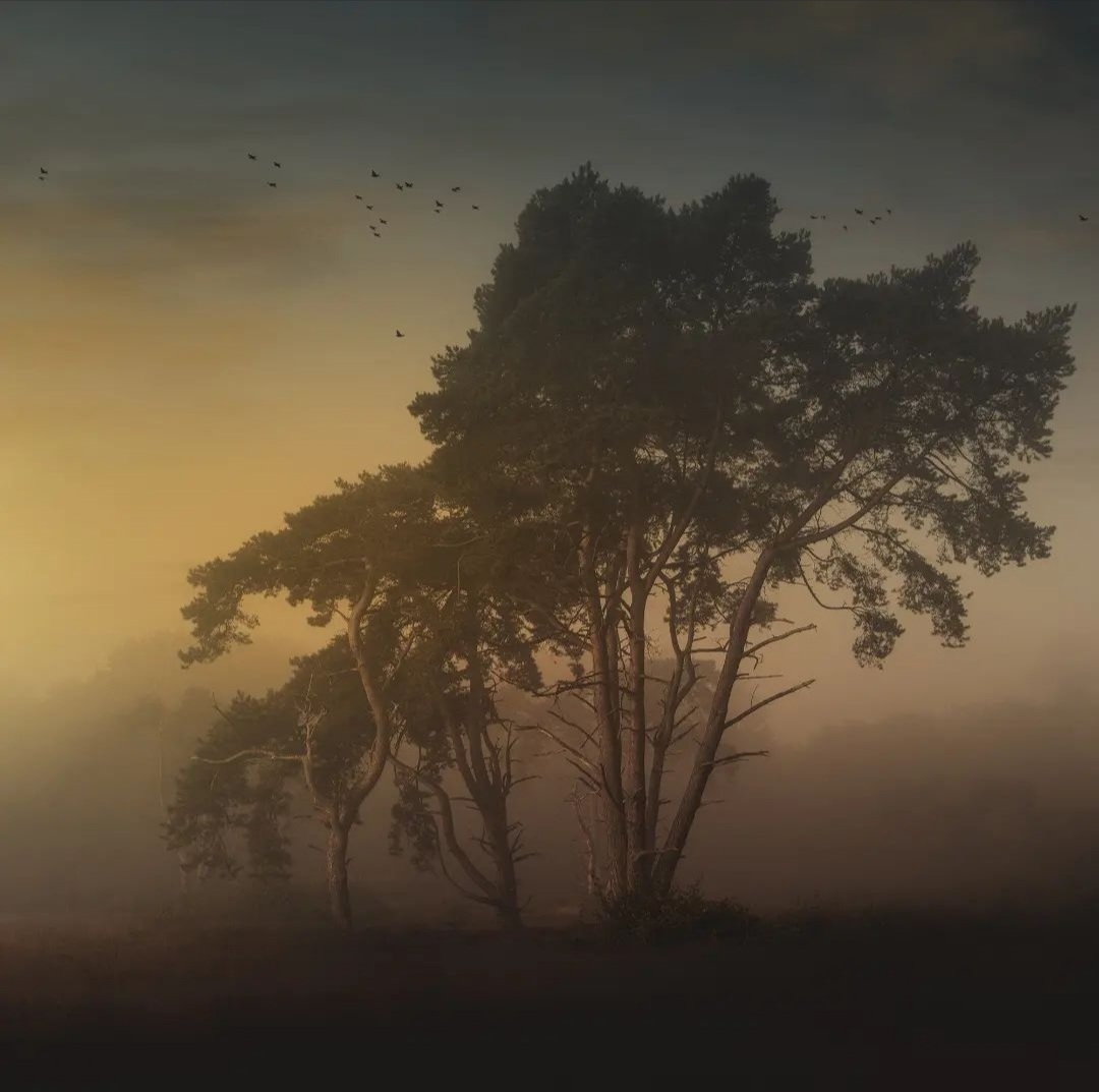 موسیقی بی کلام و شبانه به نام As old roads