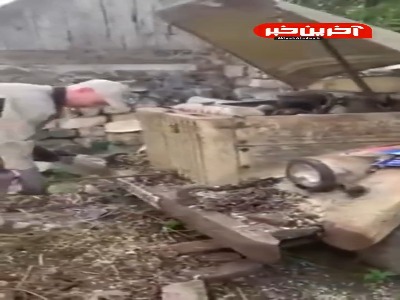 وقتی حرف از کیفیت میشه!