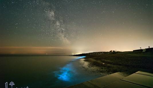 بازتاب شگفت انگیز نور زیستی در کهکشان راه شیری بازتاب شگفت انگیز نور زیستی در کهکشان راه شیری