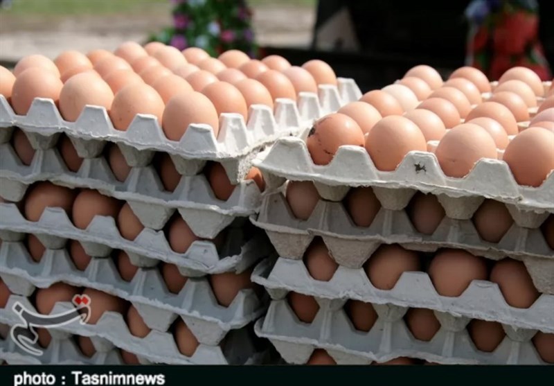 عوارض صادرات تخم‌مرغ حذف شد
