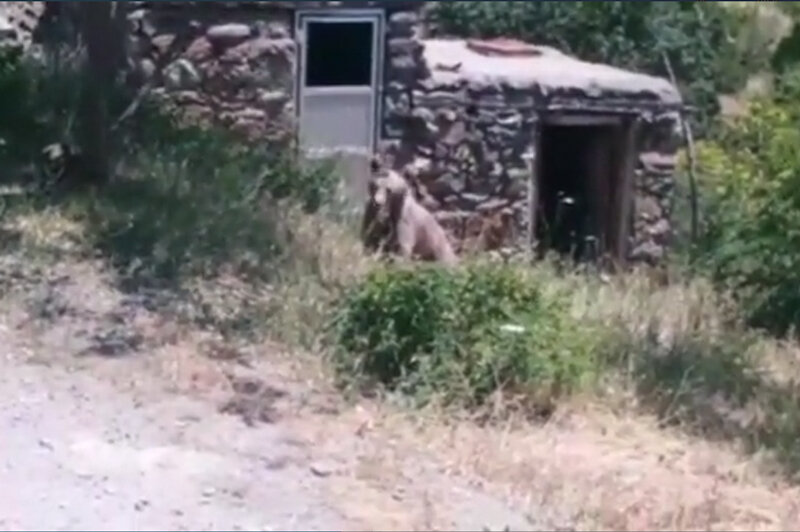 دقیقا داره چیکار میکنه!!