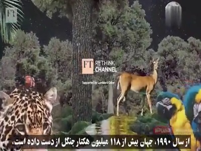 جهان بدون جنگل