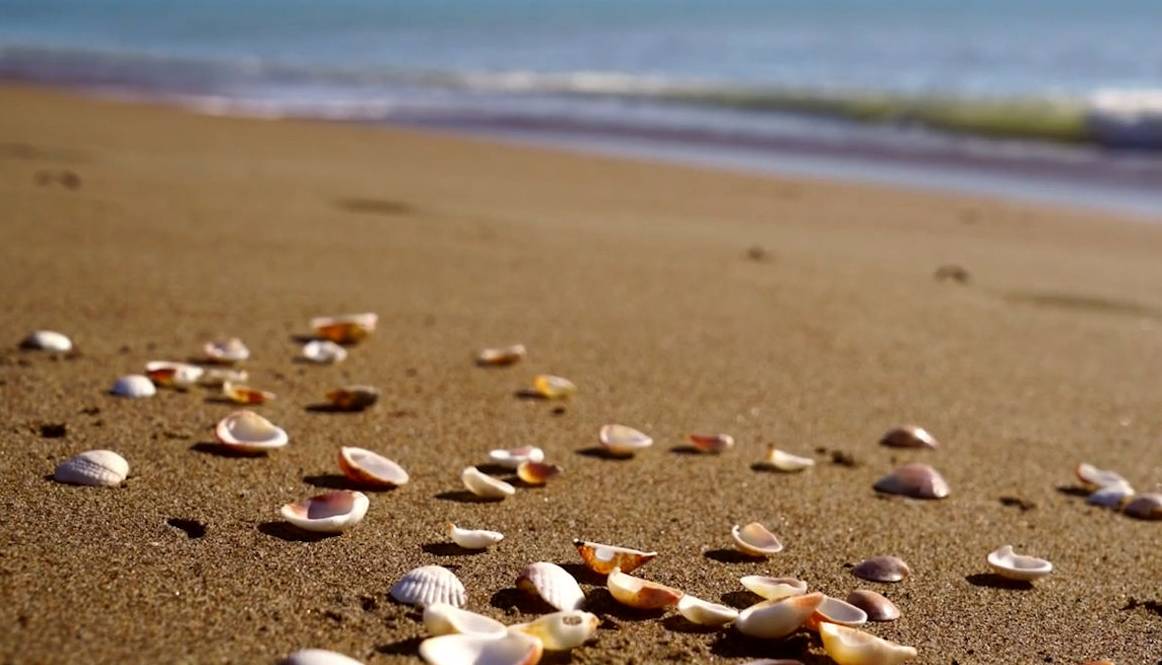 نماهنگ بی کلام و آرامش بخش با تکنوازی پیانو