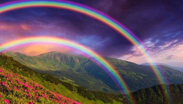 از کشف های مهمی که نیوتن انجام داد