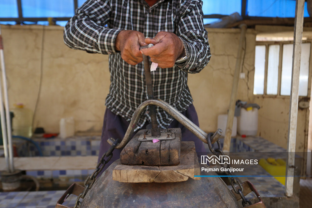برداشت گل‌محمدی در روستای آذران کاشان