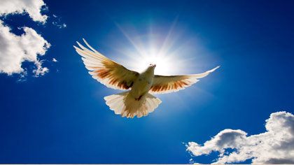 راه رهایی از گناه