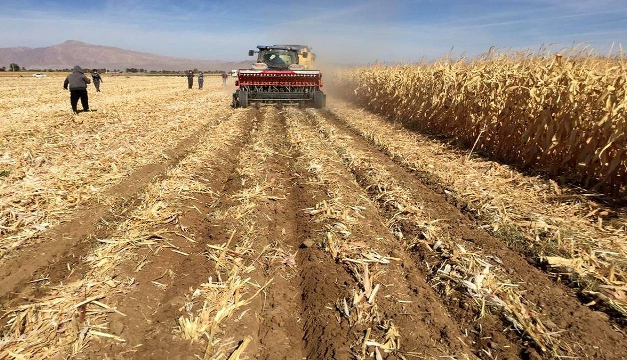 ساداتی نژاد: حاضرم تمام ساختمان‌های وزارت جهاد در جهت علم و فناوری فروخته شود