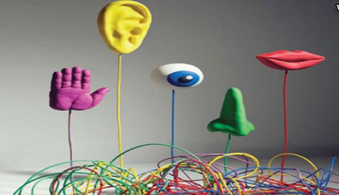 ادعای عجیب پژوهشگران: انسان بیشتر از پنج حس اصلی دارد