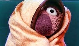 جناب خان و تجربه بهمن در کوه!