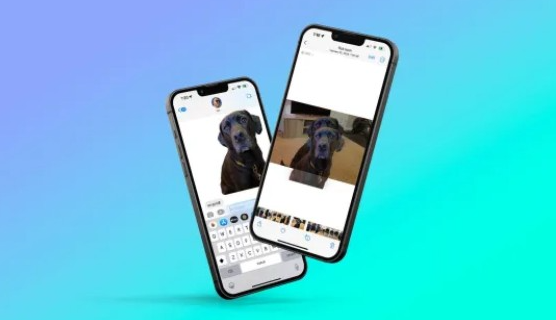 iOS 16 چگونه هر سوژه‌ای را از پس زمینه تصاویر جدا می‌کند؟