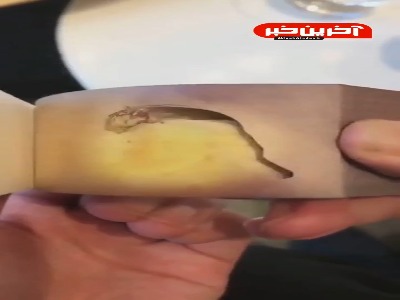 جالب و خلاقانه بود