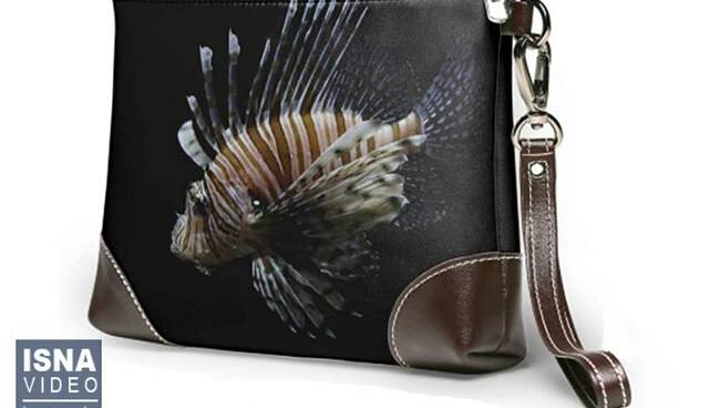 از دقیق‌ترین ارزیابی کهکشان تا تولید چرم از ماهی مهاجم