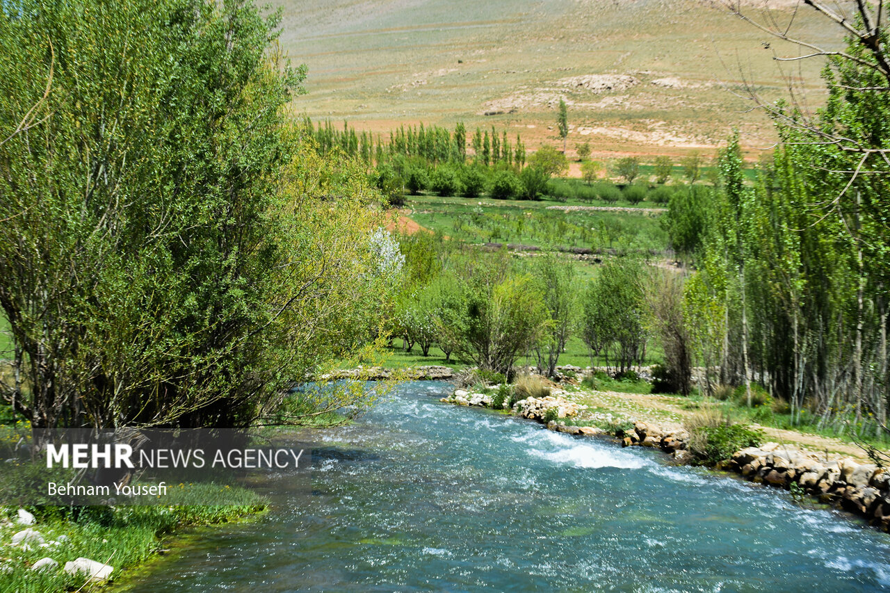 «ونایی» بهشت بروجرد