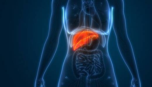 6 خوراکی برای نابودی کبد  