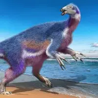 دانشمندان پس از سال‌ها فسیل یک دایناسور عجیب در ژاپن را شناسایی کردند