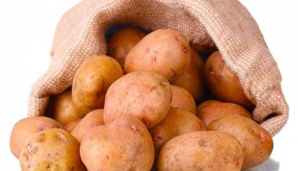 پروتئین سیب زمینی به اندازه کلسیم برای عضله سازی خوب است  