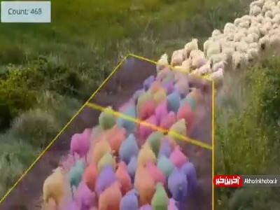 دیگه گوسفندا رو هم هوش مصنوعی میشمره