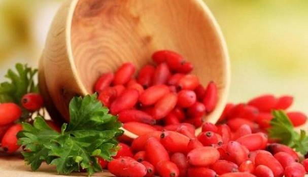 تاثیر ترکیب گیاهی زرشک در مقابله با سرطان ریه  