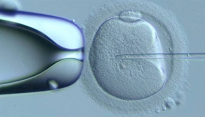 آیا پسران متولد شده با IVF، مشکلات باروری دارند؟