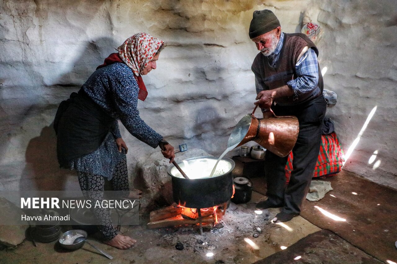 عکس/ دامداری سنتی مازندران