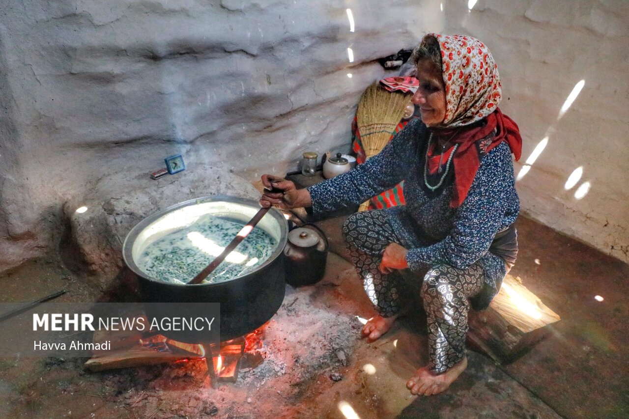 عکس/ دامداری سنتی مازندران