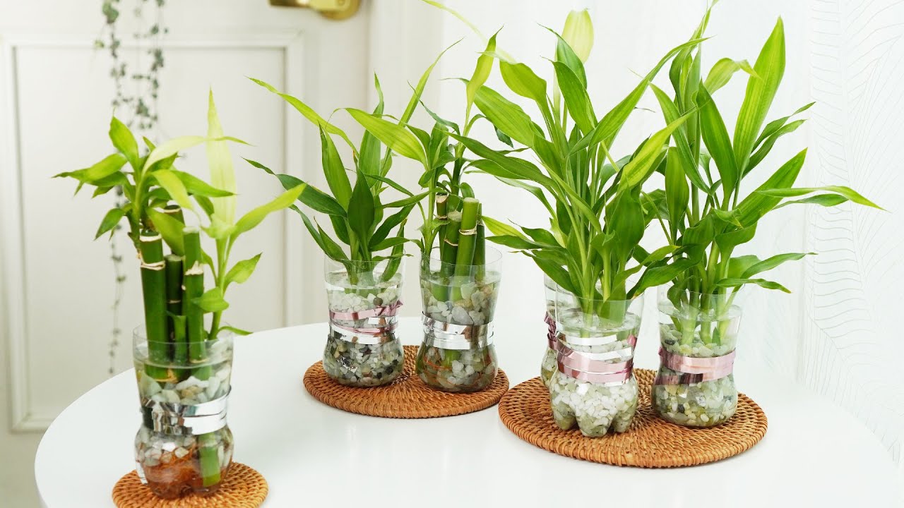 با این روش گلدان های زیبا بسازید