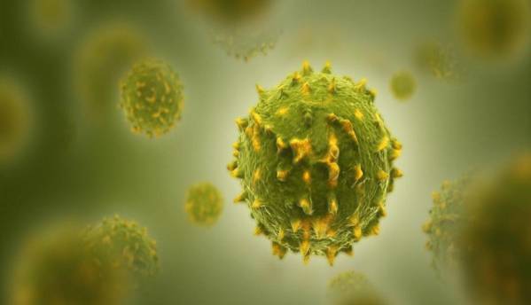 چگونه ویروس کرونا سلول میزبان را آلوده می کند؟
