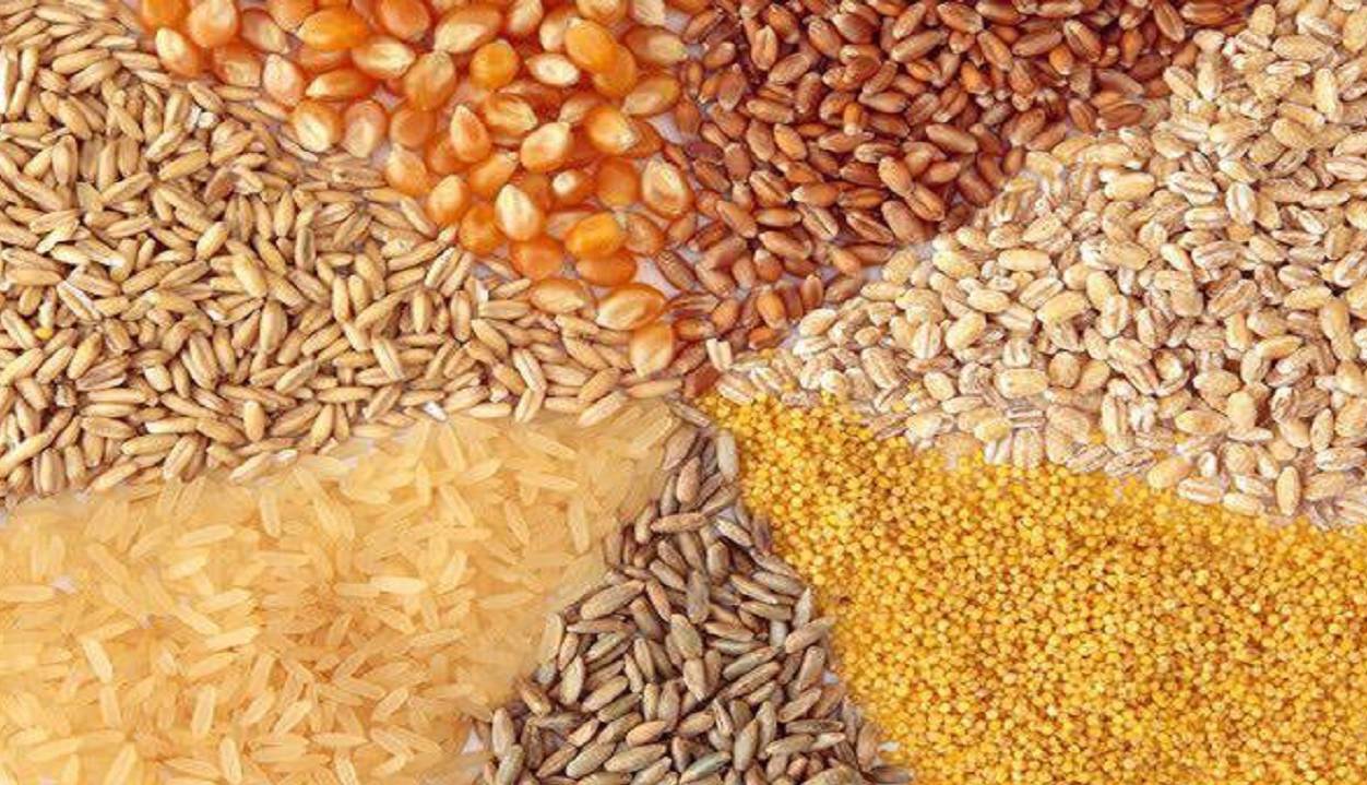 کاهش 33 درصدی واردات نهاده دامی