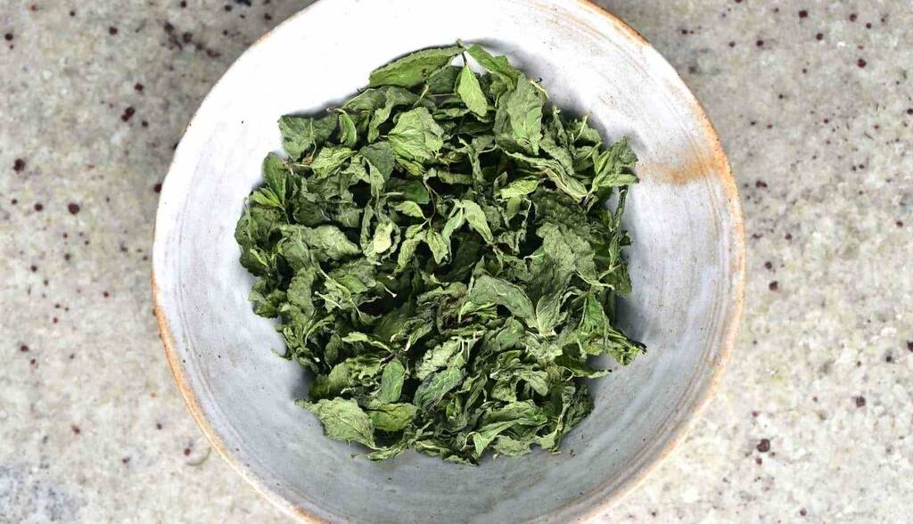 فوت‌وفن‌های خشک کردن نعناع