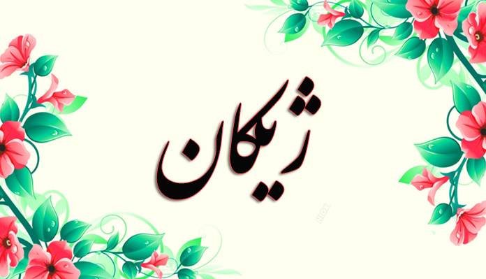 انتخاب اسم؛ معنی اسم «ژیکان» چیست؟