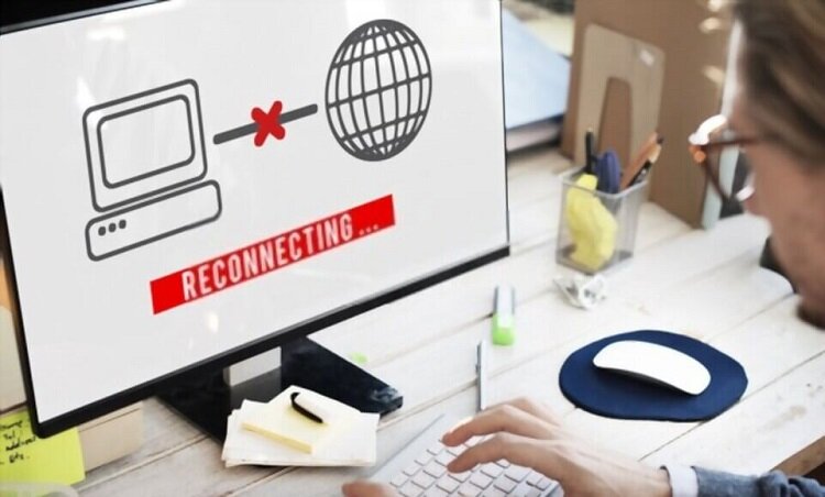 این جانور ۸ ساعت اینترنت را قطع کرد