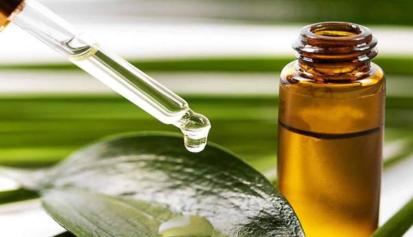 جلوگیری از سکته قلبی و سرطان به کمک روغن بذر چای