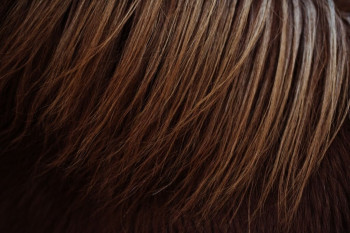 فوت و فن های رنگ کردن مو و ابرو با نسکافه