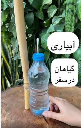 ایده آبیاری گلدان ها هنگام رفتن به مسافرت