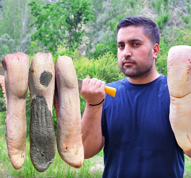 آموزش 2 مدل غذا با زبان گوساله در طبیعت