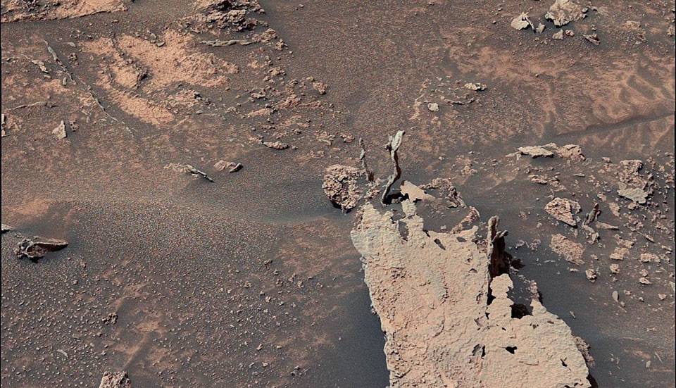 مارهایی در مریخ!
