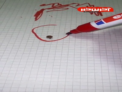 راه حل سه بعدی برای مسائل و مشکلات دو بعدی