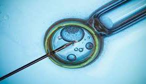 هوش مصنوعی برای درمان ناباروری