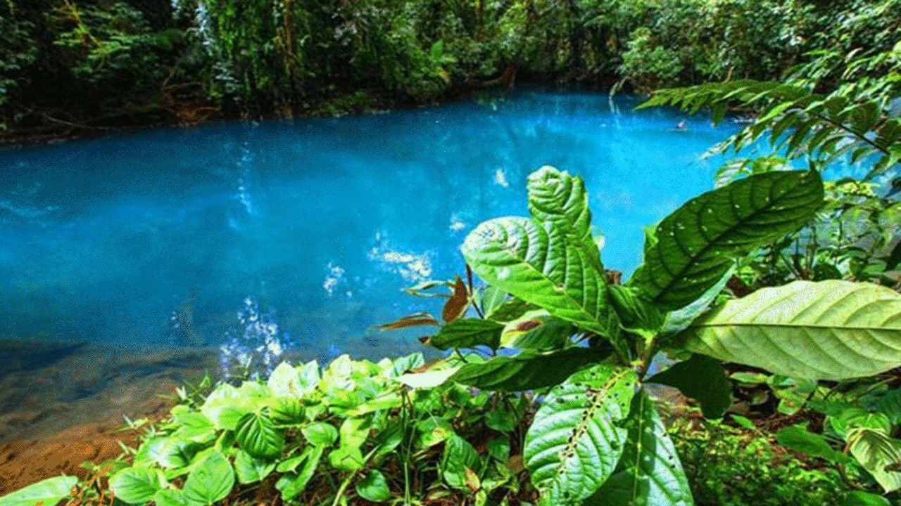 چشمه های فیروزه ای در جنگل های مازندران